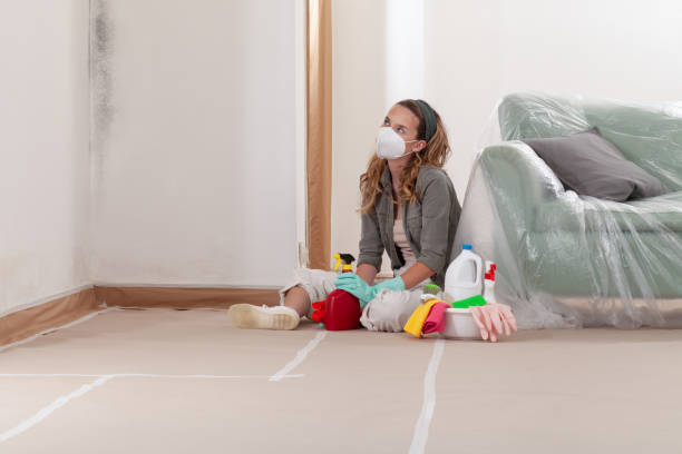 Reliable Mold Remediation contractor in Moorestown, NJ by Car Mold Remediation